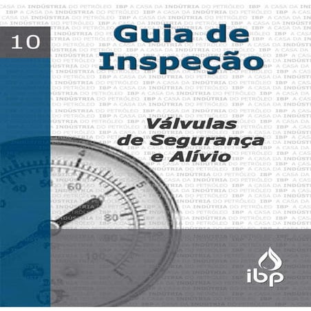 Guia10 reduzido ibp