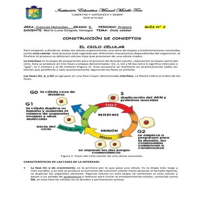 Guia 2 ciclo celular 8 vo. primer p. (2)
