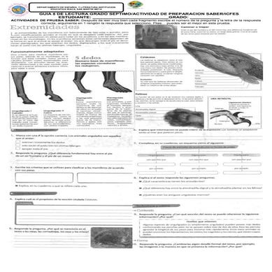 Guia 8 de lectura grado sexto actividad de preparacion saber icfes