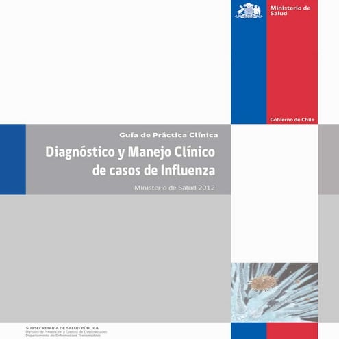 Guia clinica influenza_2012_v4.2