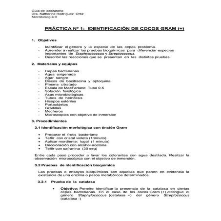 Guia cocos Gram+.pdf