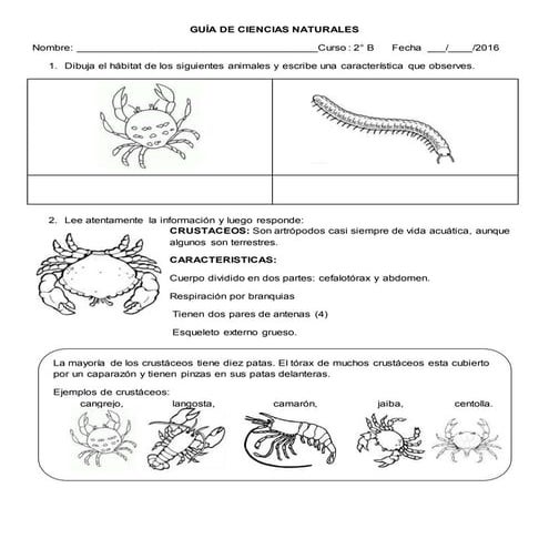 Guia crustáceos y mirápodos