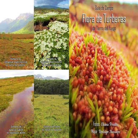 Guía de campo Turberas en tierra del fuego | PDF