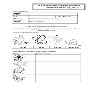 Guia de desplazamiento de los animales