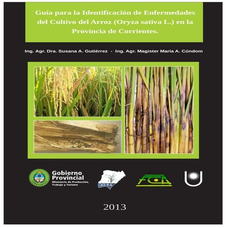 Guia de enfermedades