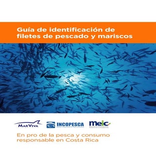 Guia de identificacion de filetes