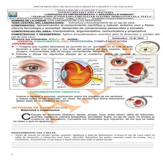 Laboratorio sobre el ojo