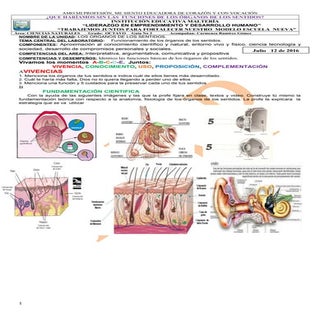 Laboratorios sobre los sentidos