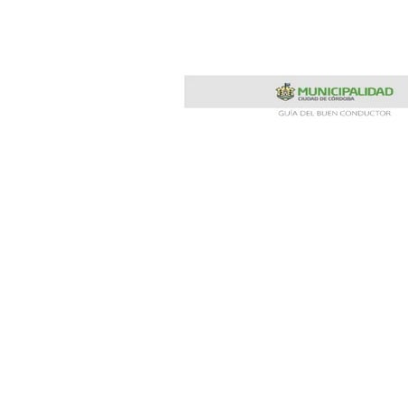 Guia del buen_conductor