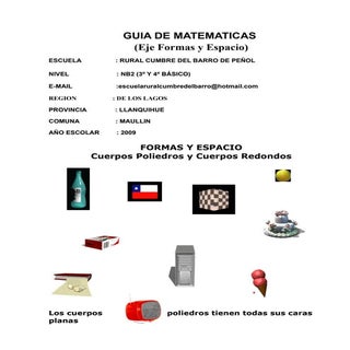 Guia De Matematicas Cuerpos Poliedr...