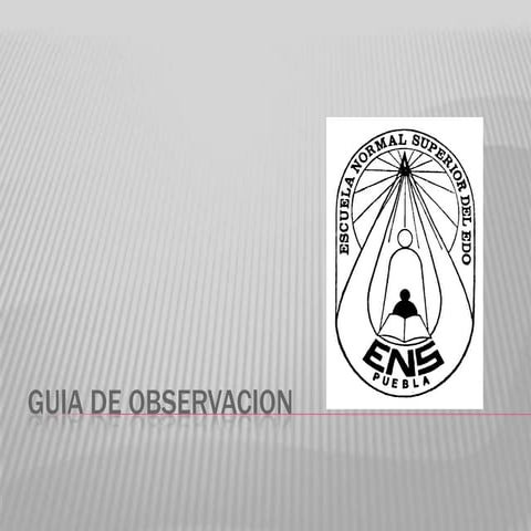 Guia De Observacion
