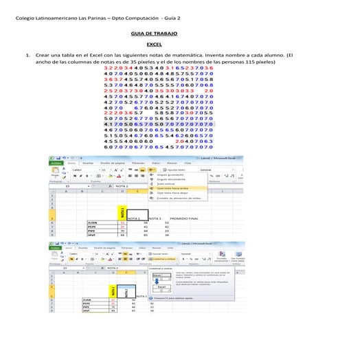 Guia de trabajo nm2 2013 nii