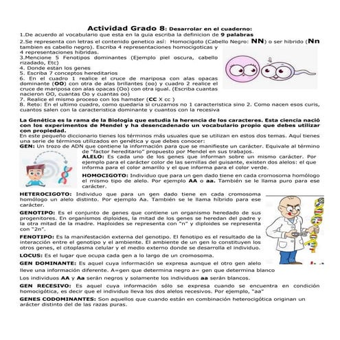 guia herencia 8 ver2.pdf