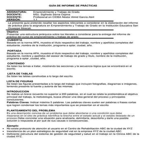Guia informe practica version 1.1 sso