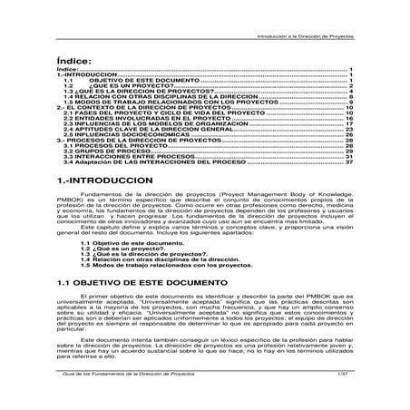 Guia introduccionpm