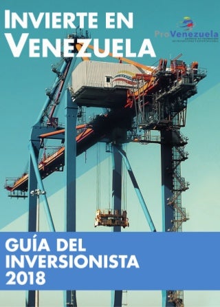 Guía del Inversionista