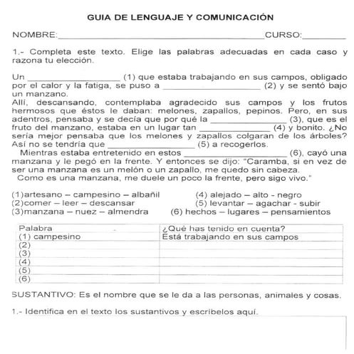 Guia lenguaje