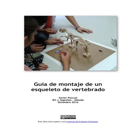 Guia de montaje de un esqueleto de vertebrado