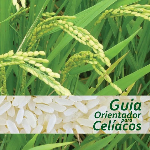 Guia orientador para Celiacos 2010