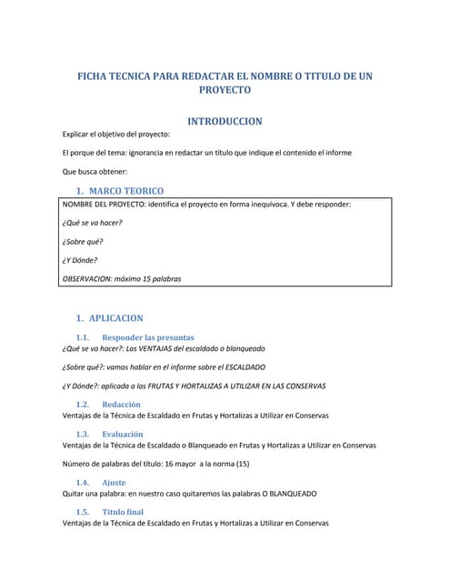 Estructura de perfil del proyecto | PDF