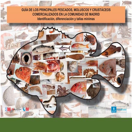 guia_pescados_cam_web.pdf