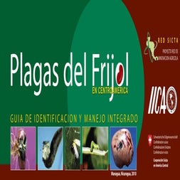 Guia plagasfrijol