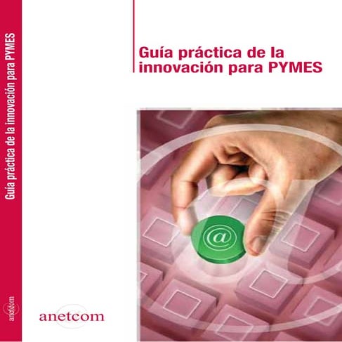 Guia practica innovacion pymes