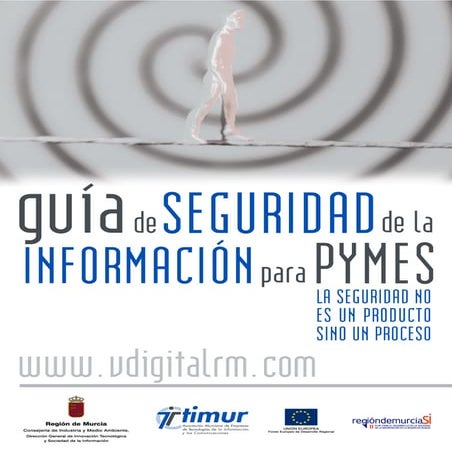 Guia seguridad pymes