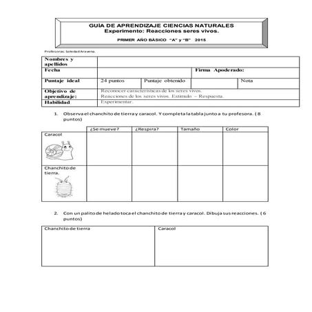 Guia sumativa estimulo reacción. 1º básico 