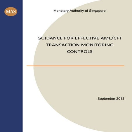 Guidance for Effective AML CFT Transaction Monitoring Controls.pdf