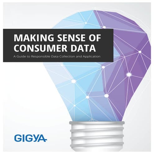 Making sense of consumer data