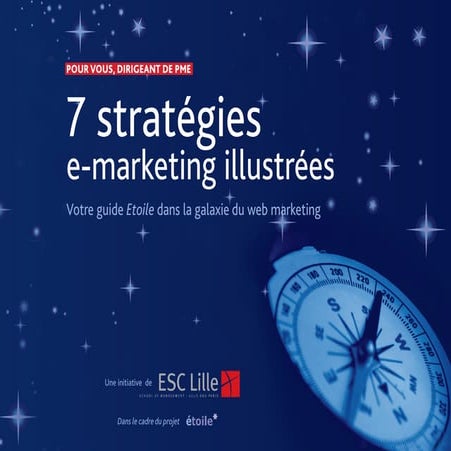 Guide strategies-emarketing-web
