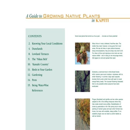 A Guide to Growing Native Plants in Kapiti, New Zealand