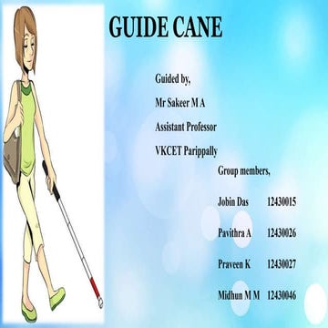 Guide cane