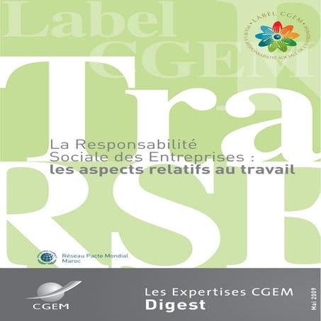 Guide cgem responsabilités sociales des entreprises aspect relatifs au travail
