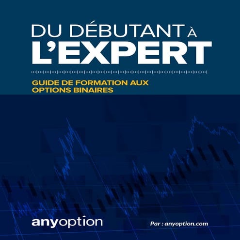 Guide de Trading Options Binaires