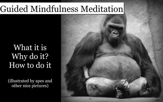 Guided mindfulness meditation - What is mindful meditation & how to do it  