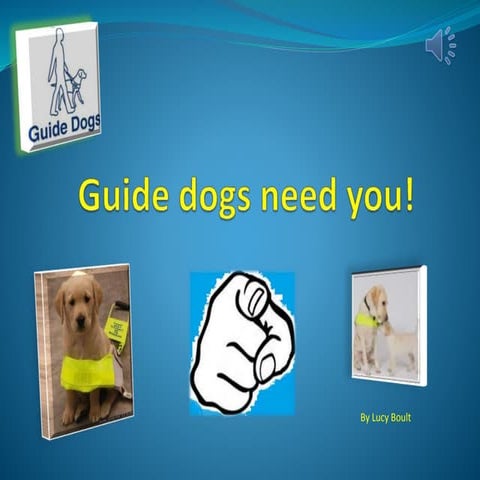 Guide dogs