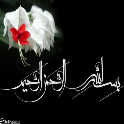 Guided tissue regeneration in endodontics