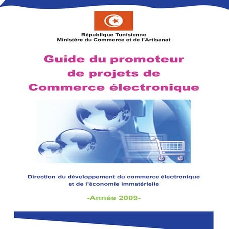Guide e commerce | PDF