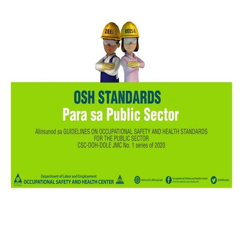 Comprehensive Occupational Safety and Health Program Guidelines for ...