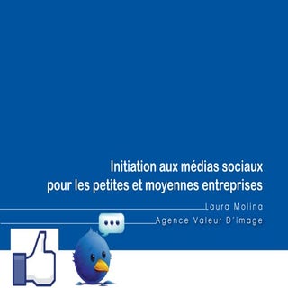 Guide Initiation aux Médias Sociaux...