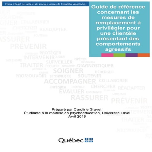 Guide de référence concernant les mesures de remplacement à privilégier pour une clientèle présentant des comportements agressifs
