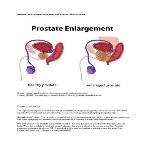 Guide on improving prostate health for a better urinary stream.docx