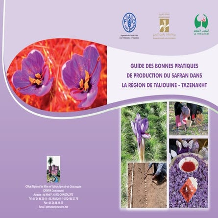 Guide des bonnes pratiques de production du safran de la region de ...