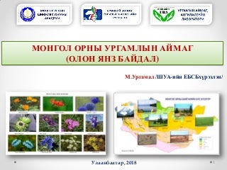 Guide surgalt flora of mongolia