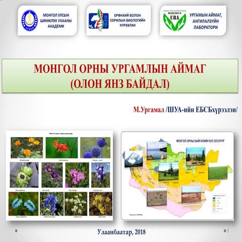 Монгол орны байгалийн бүс
