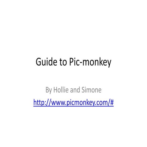 Guide to pic monkey