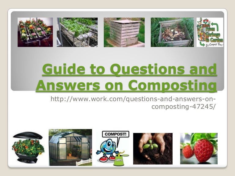 Guide To Questions And Answers On Composting