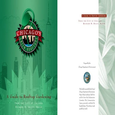 A Guide to Roof Top Gardening, Chicago